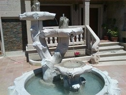 FUENTE DE TRONCOS