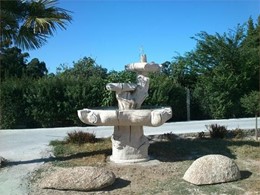 FUENTE DE TRONCOS