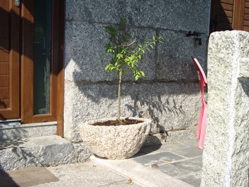 Artesanía en Piedra Miguel Ángel