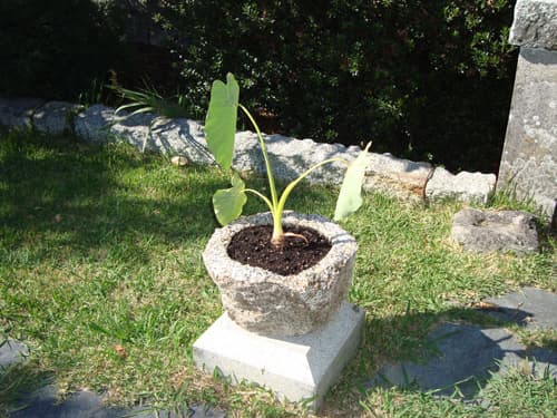 Artesanía en Piedra Miguel Ángel