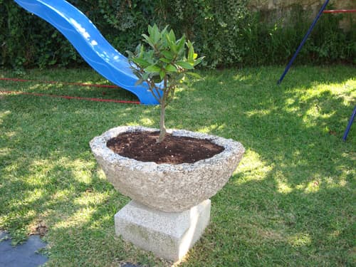 Artesanía en Piedra Miguel Ángel